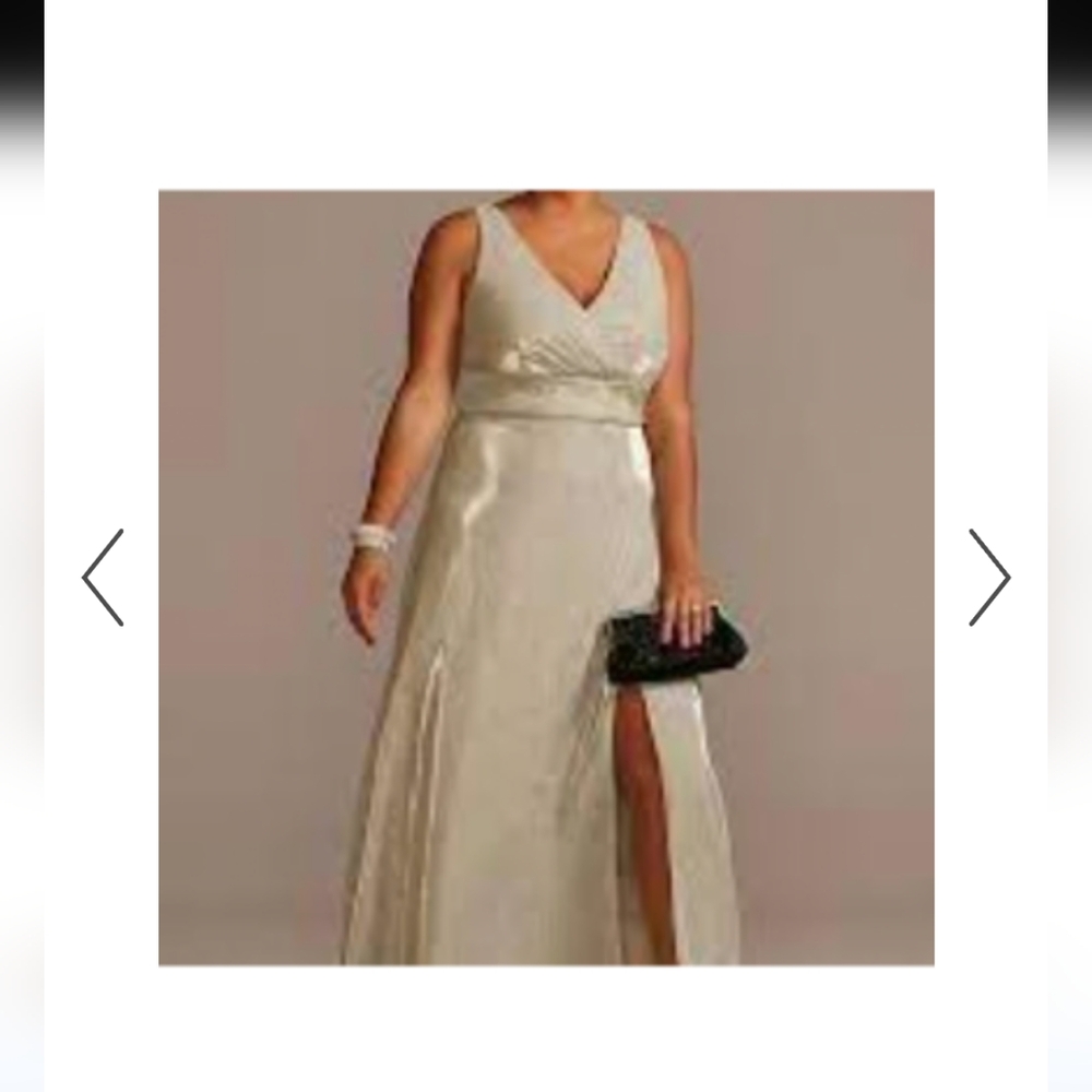Oleg Cassini Gown Size 22W